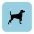 lycos